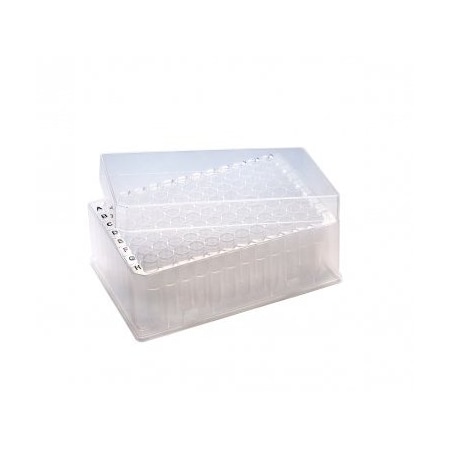 SCIENTIFIC SPECIALTIES ClusterTubes, Racked Tubes w/Clear Lid, 8 Tube Strip, Non-Sterile, 960/cs, 960PK 162533